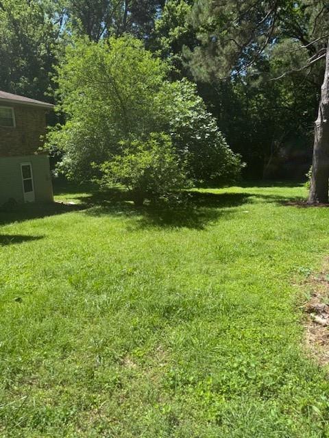 Photo #4