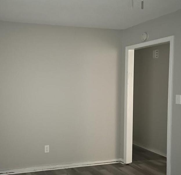 Photo #5