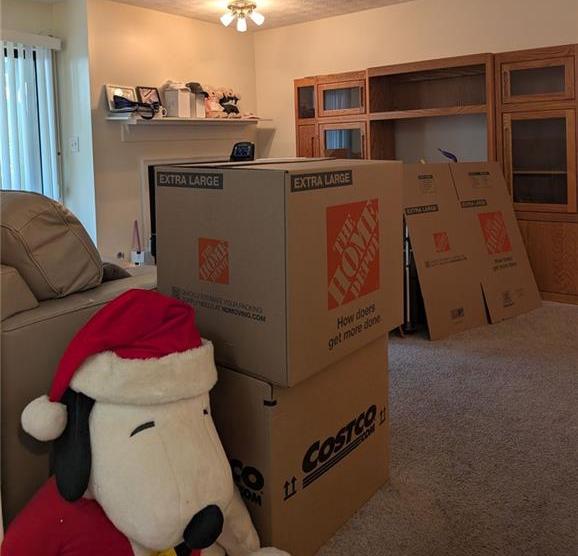 Photo #14