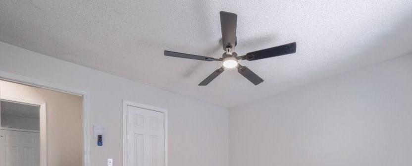 Photo #22