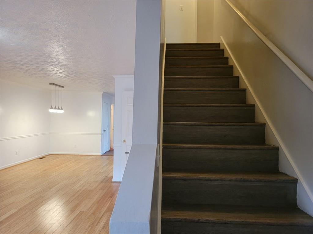Photo #8