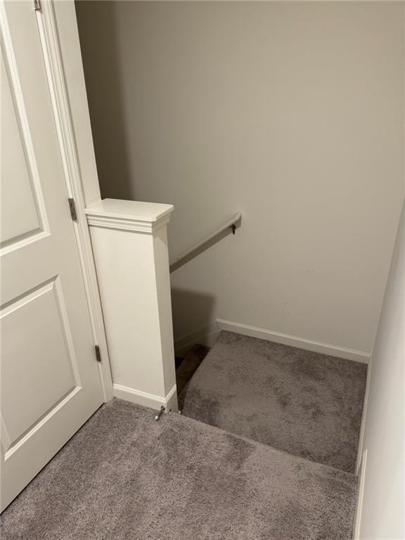 Photo #13