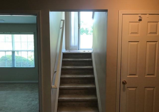 Photo #15