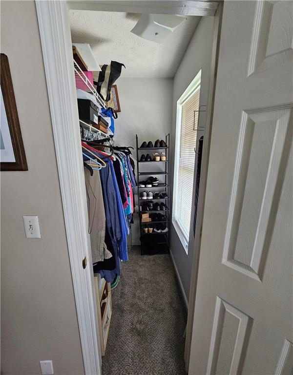 Photo #16