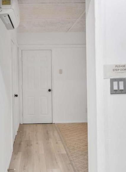 Photo #11