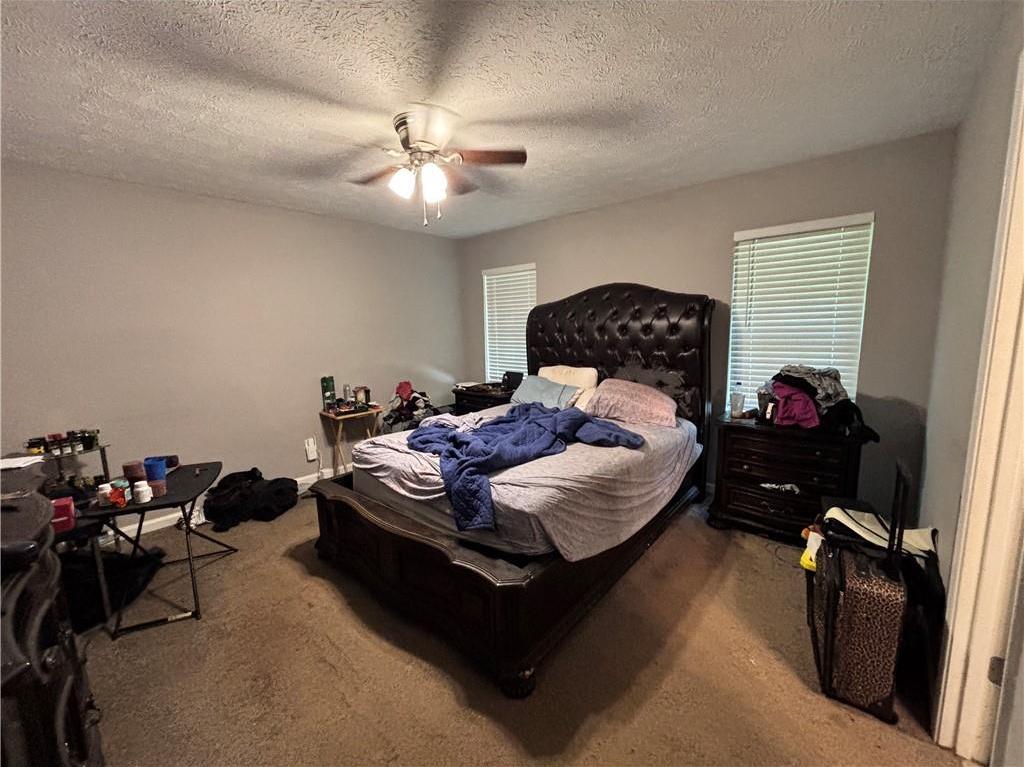 Photo #42