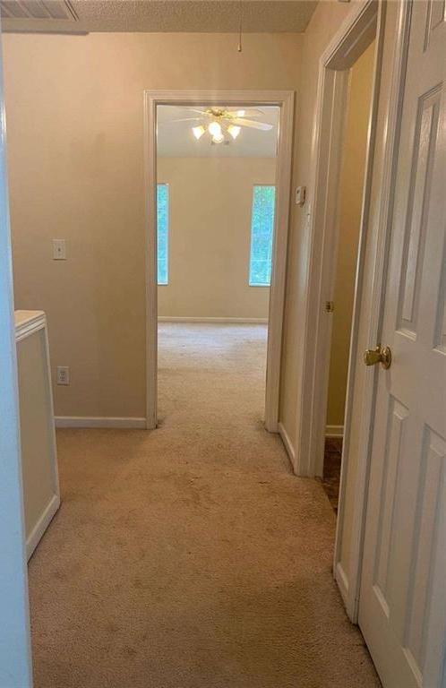 Photo #10