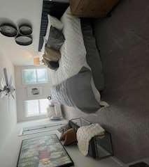 Photo #8