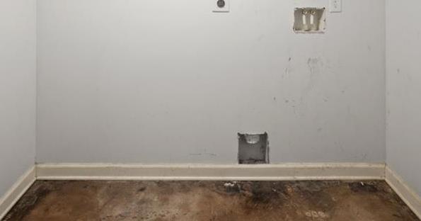 Photo #25