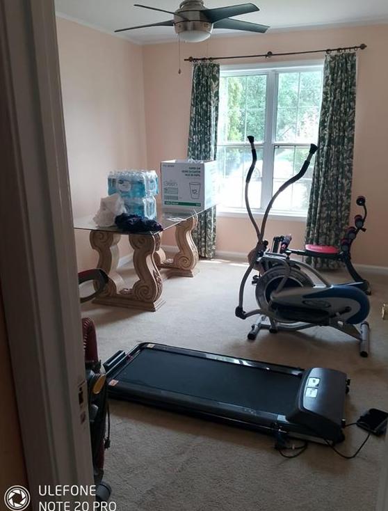 Photo #36
