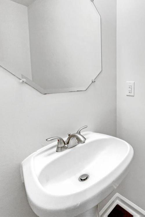 Photo #16