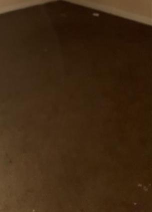 Photo #8