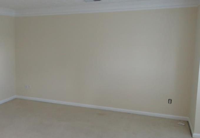 Photo #4