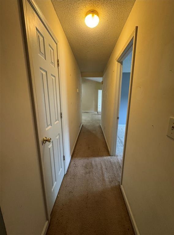 Photo #24
