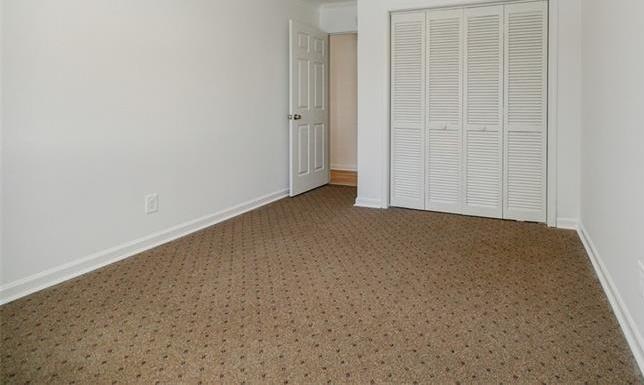 Photo #42