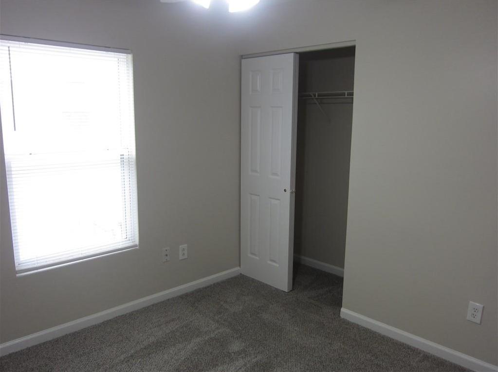 Photo #17