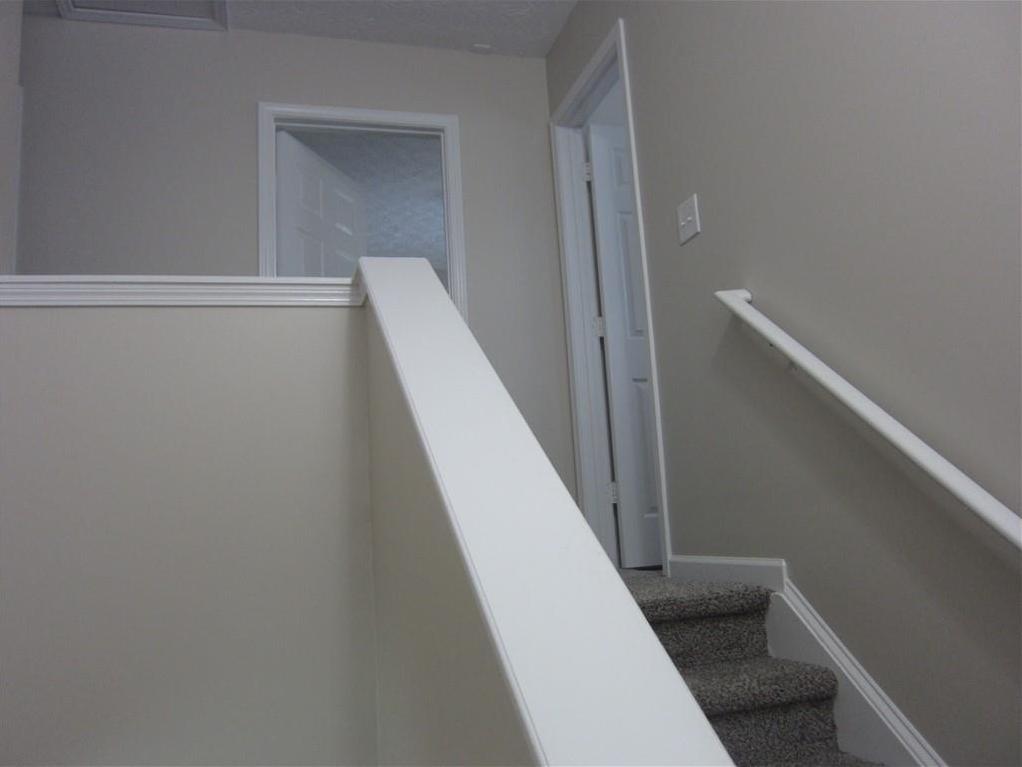 Photo #13
