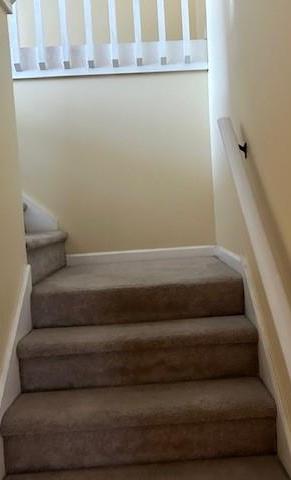Photo #16
