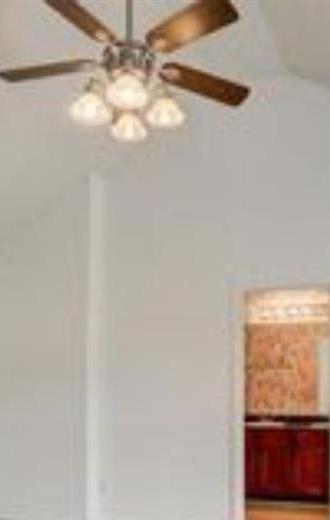 Photo #13