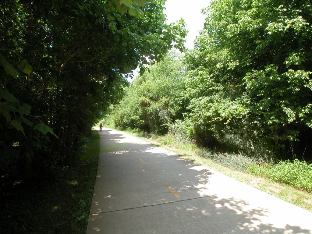 Photo #52