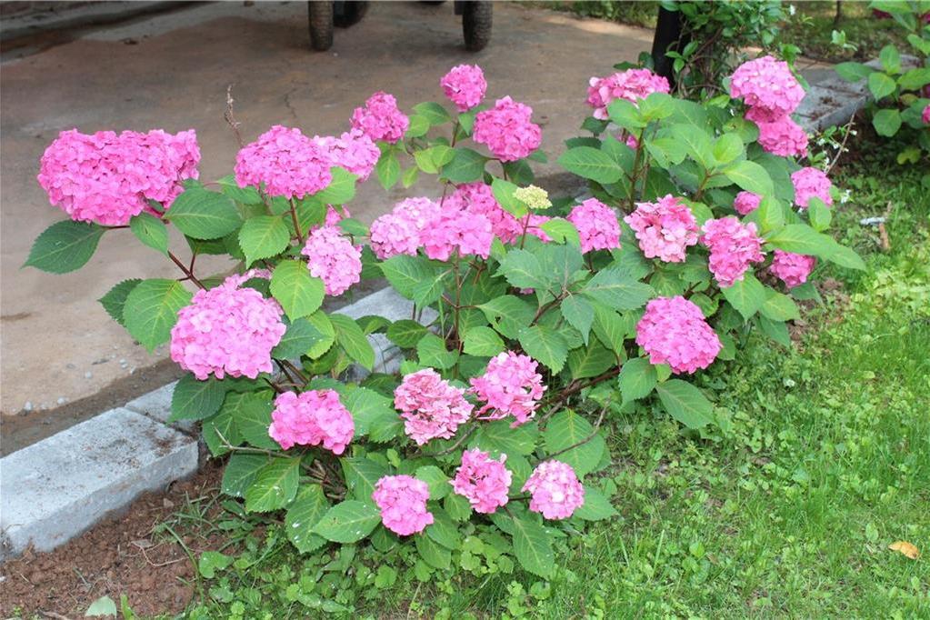 Photo #34