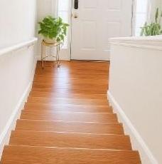 Photo #11