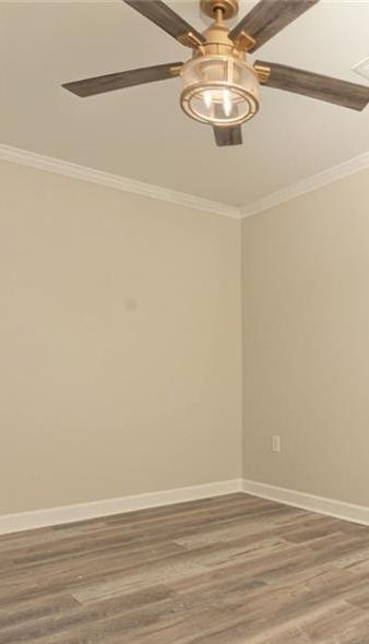 Photo #11