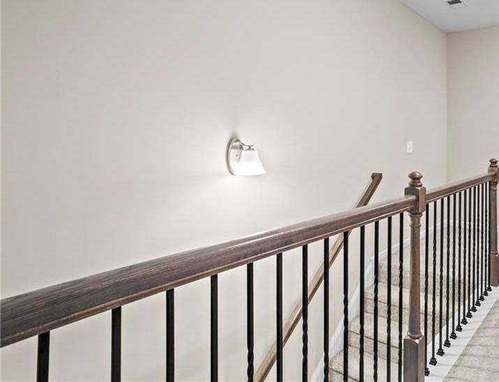 Photo #15
