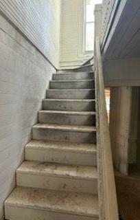 Photo #12