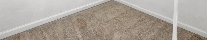 Photo #21