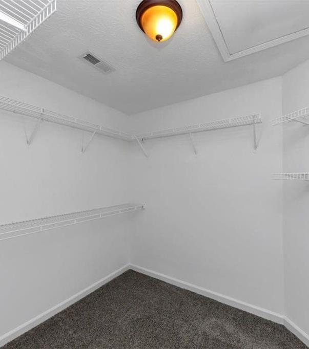 Photo #26