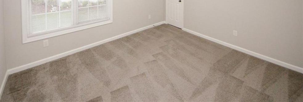Photo #29