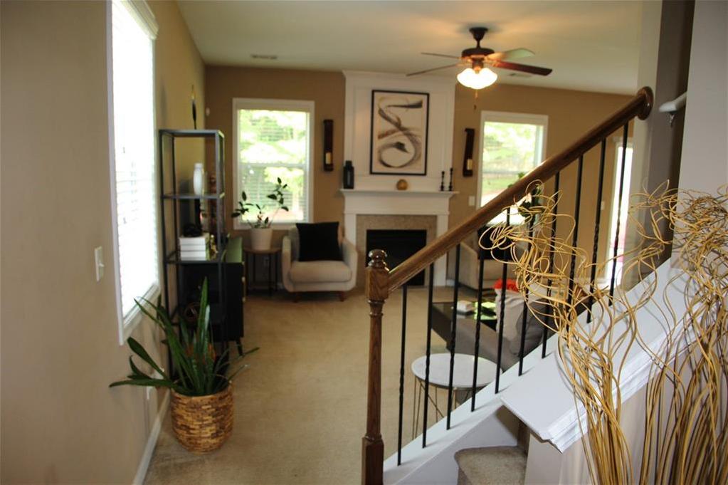 Photo #4