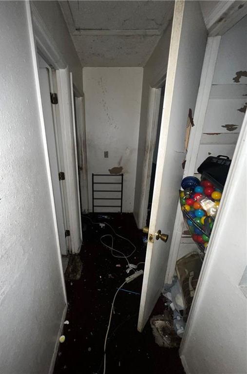 Photo #43