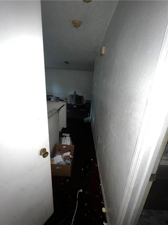 Photo #33