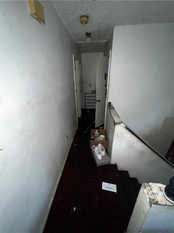 Photo #44