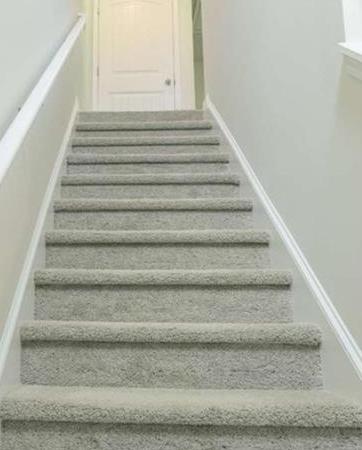 Photo #10