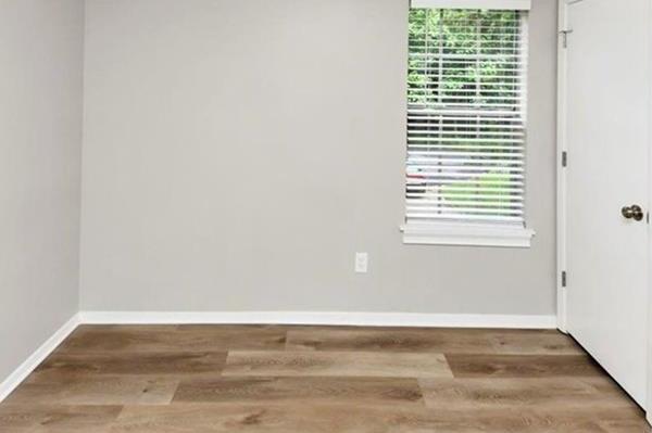 Photo #17