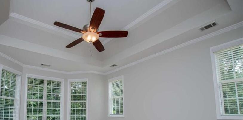 Photo #31
