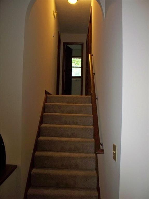 Photo #14