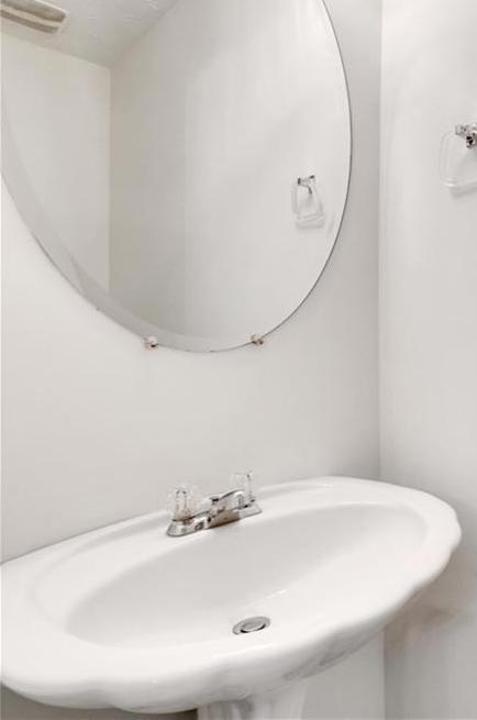 Photo #15