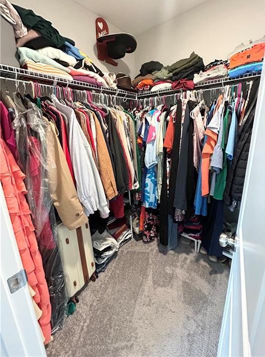 Photo #17