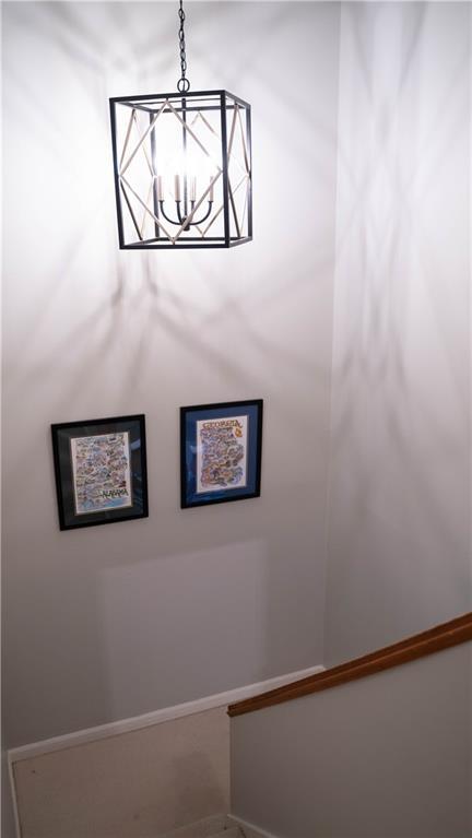 Photo #43
