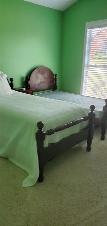 Photo #11