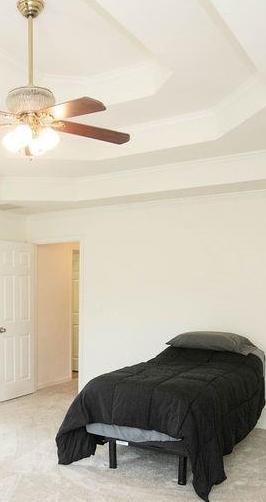 Photo #24
