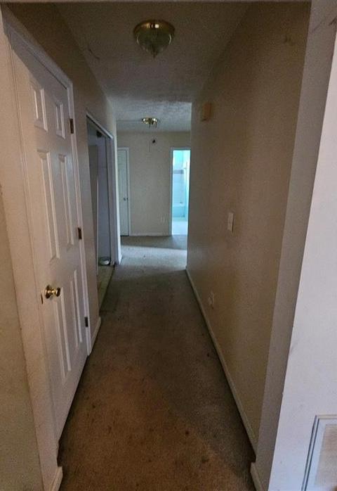 Photo #3