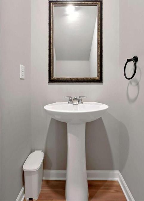 Photo #12