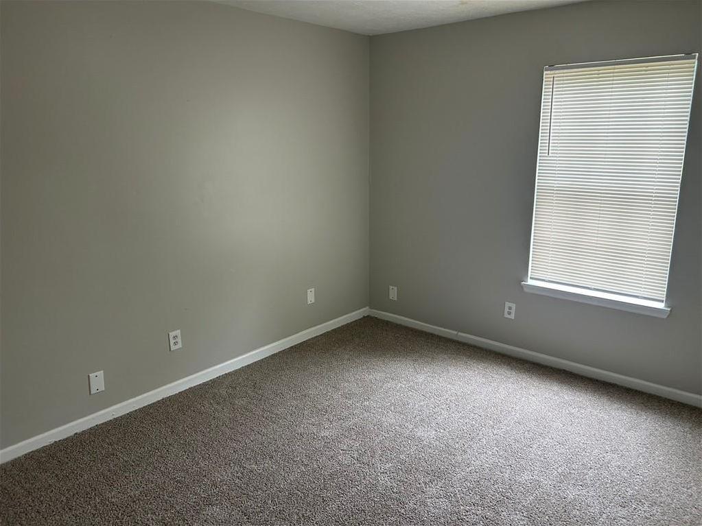 Photo #6