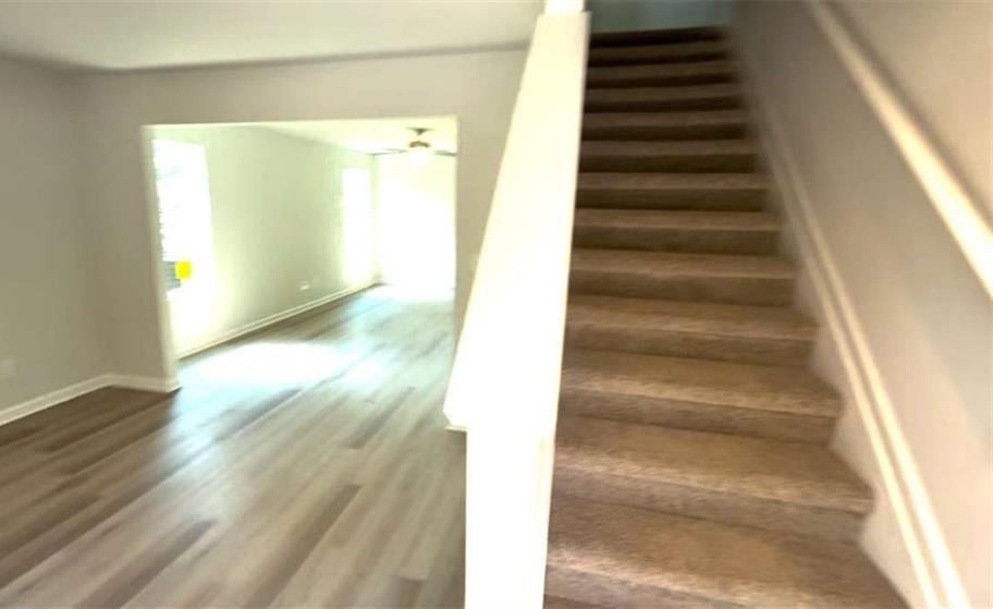 Photo #2