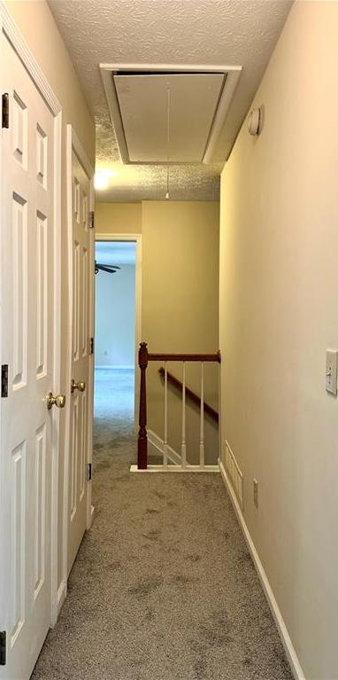 Photo #39